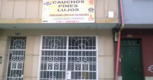 CAUCHOS PINES Y LUJOS CAUCHOS PINES Y LUJOS
